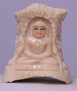 White Coral